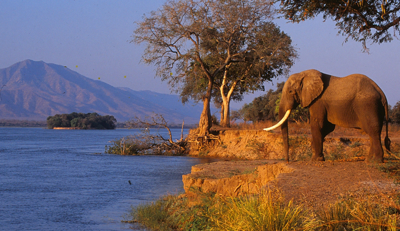 Safaris 4 Africa - Wild Zambezi